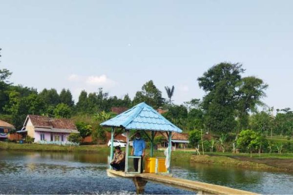 Telur Ayam di Bandar Lampung Tembus Rp30 Ribu per Kilogram