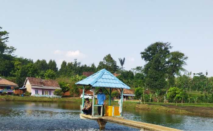 Budidaya ayam di Sungai Tarab, Kabupaten Tanah Datar