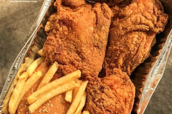 Ayam Arab : Kelebihan, Cara Ternak, Pakan, Harga Jual