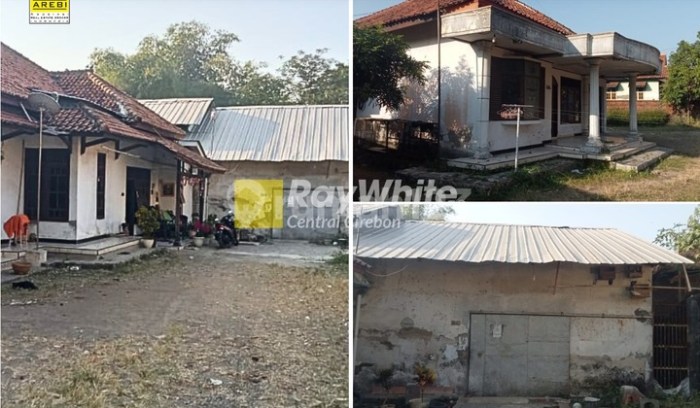 4 Kuliner Daging Kambing di Kota Malang – Info Malangan Daging kambing di Palasah, Majalengka