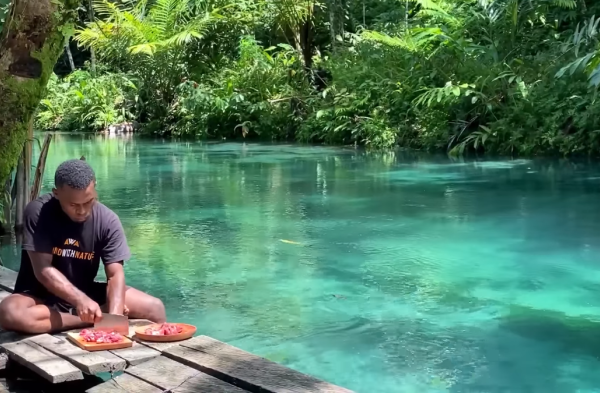 Daun penggemuk ayam di Sentani, Kab. Jayapura