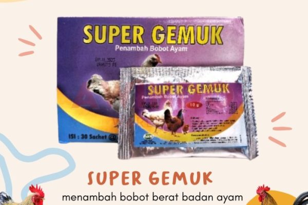 Daun penggemuk ayam di Fakfak Barat, Kab. Fakfak