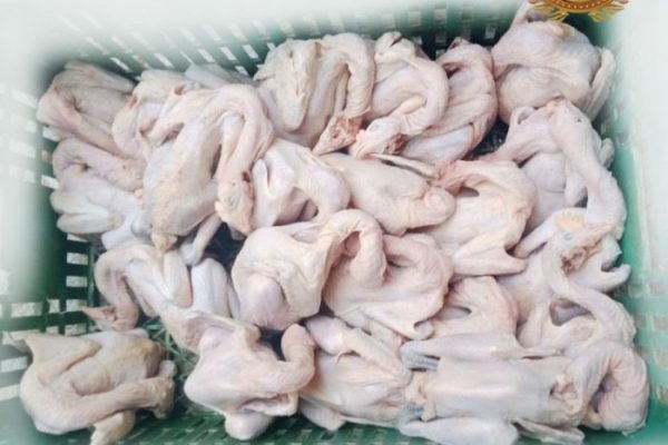 Harga ayam kampung potong di Banjar, Kota Banjar