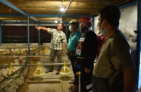 Peternakan Ayam Model Close House Makin Berkembang - Kebumen Update