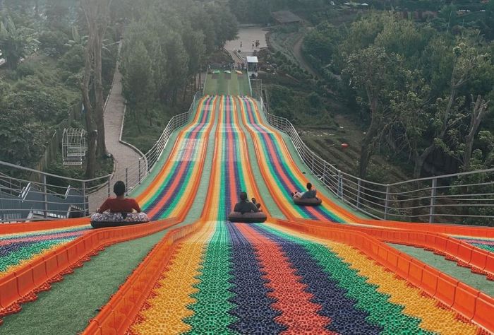 Ayam afkir di Lembang, Bandung Barat