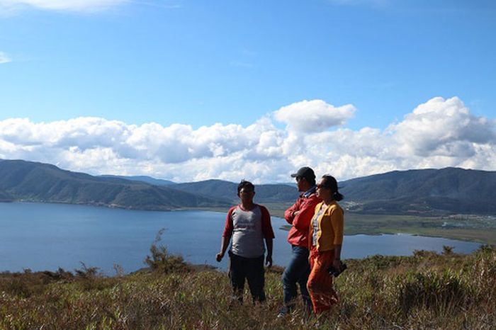 Daun penggemuk ayam di Sururey, Kab. Pegunungan Arfak