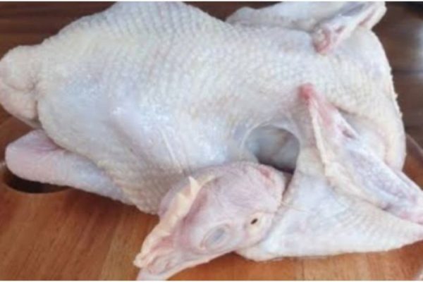 Ayam merah petelur di Sukmajaya, Kota Sukabumi