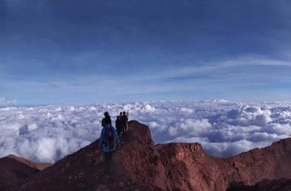 Ayam layer di Gunung Kerinci, Kabupaten Kerinci