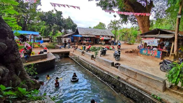 Ayam ternak di Sukolilo, Pati