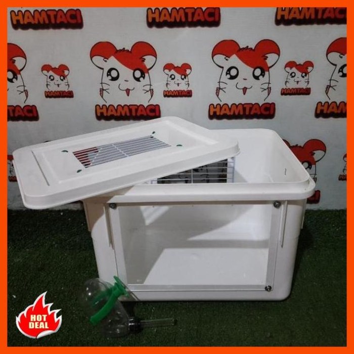 KANDANG KOTAK AKRILIK HAMSTER GERBIL LANDAK REPTIL
