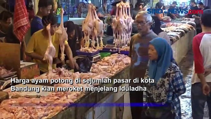 Harga Ayam Potong di Bandung Melambung Jelang Iduladha - Video Dailymotion Harga ayam kampung potong di Bandung Kidul, Kota Bandung