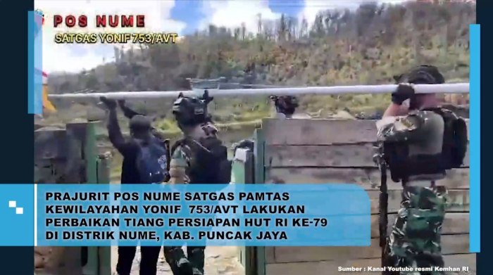 Daun penggemuk ayam di Nume, Kab. Puncak Jaya