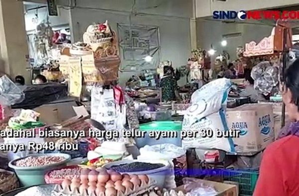 Daun penggemuk ayam di Karang Asem, Karangasem