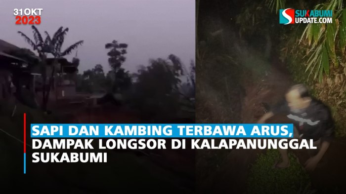 Daging kambing di Kalapanunggal, Sukabumi
