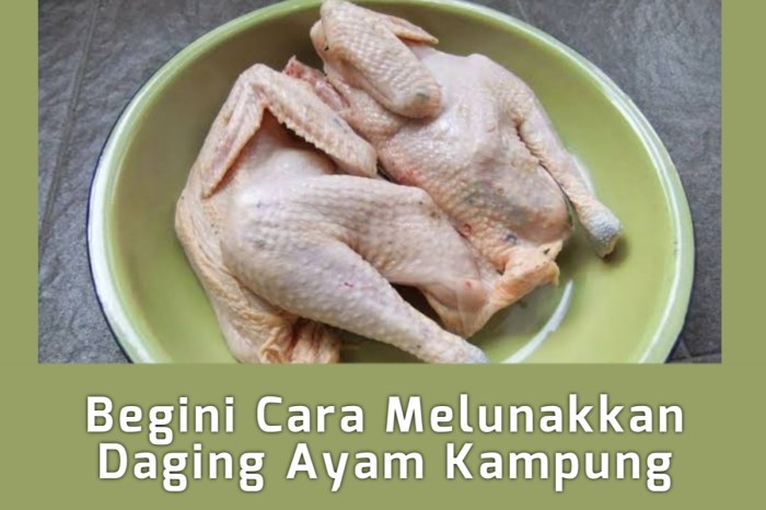 Warga Pagimana Banggai Blokade Jalan Protes Pembangunan Rumah di Lokasi ... Daun penggemuk ayam di Pagimana, Banggai