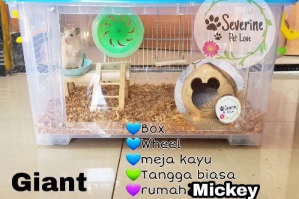 KANDANG HAMSTER AKRILIK LED PAKET LENGKAP HAMSTER/REPTIL/GECKO/LANDAK/SG KOTAK AKRILIK DENGAN LAMPU LED BY HAMTACI