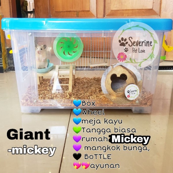 KANDANG HAMSTER AKRILIK LED PAKET LENGKAP HAMSTER/REPTIL/GECKO/LANDAK/SG KOTAK AKRILIK DENGAN LAMPU LED BY HAMTACI