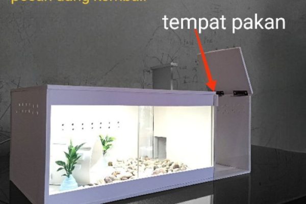 Kandang bunglon | kandang reptile | kandang burung | kandang camelon