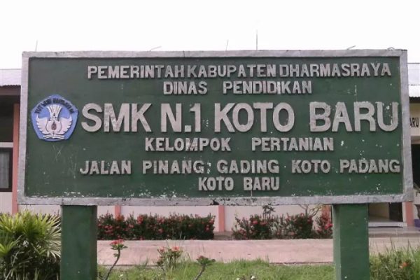 Budidaya ayam di Pangkalan Koto Baru, Kabupaten Lima Puluh Kota