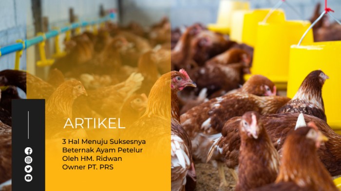 Tinggalkan Balasan Batalkan balasan Ternak ayam petelur di Melak, Kutai Barat