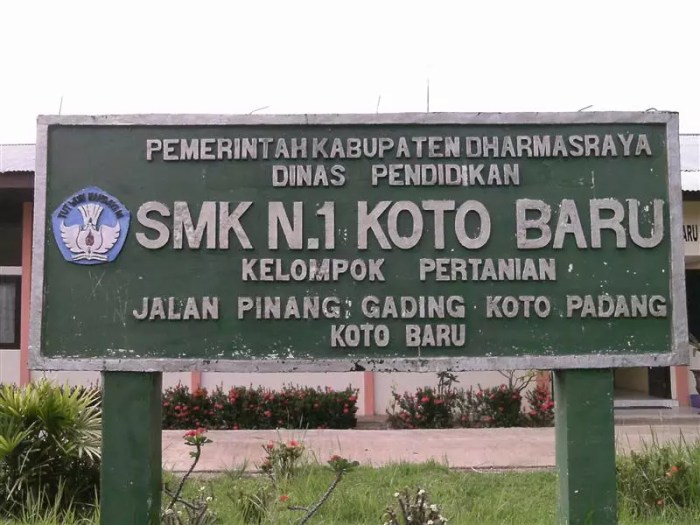 Ayam ternak di Pangkalan Koto Baru, Kabupaten Lima Puluh Kota