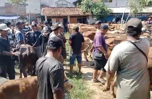 BAGAIMANA CARA-CARA BETERNAK AYAM KAMPUNG ? ADA DISINI...!!! - Pusat ...