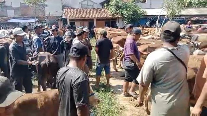 BAGAIMANA CARA-CARA BETERNAK AYAM KAMPUNG ? ADA DISINI...!!! - Pusat ... BAGAIMANA CARA-CARA BETERNAK AYAM KAMPUNG ? ADA DISINI...!!! - Pusat ...