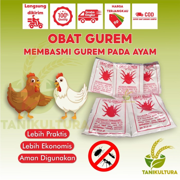 Vitamin Penggemuk Ayam Pedaging Kelbung di Kediri Jawa Timur - Tribun ... Daun penggemuk ayam di Pekutatan, Jembrana