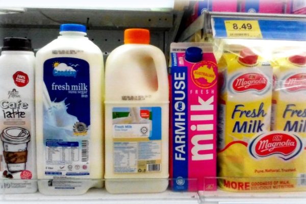 Susu kambing di Tenggarang, Bondowoso