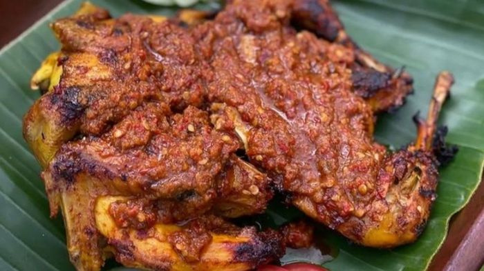 Daun penggemuk ayam di Bakarangan, Tapin