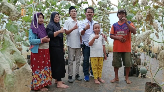 Peternakan ayam kampung Pangandaran,Banjar,Ciamis ,dan Tasikmalaya ... Budidaya ternak ayam di Ajibarang, Banyumas