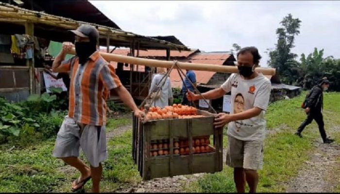 Harga Telur Ayam Ras di Banyumas Terjun Payung, Sekilo dari Peternak ... Budidaya ternak ayam di Banyumas, Kab. Banyumas