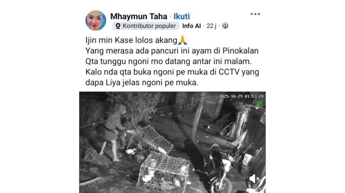 Beli ayam petelur afkir dikawinkan dengan ayam bangkok - YouTube Beli ayam petelur afkir dikawinkan dengan ayam bangkok - YouTube