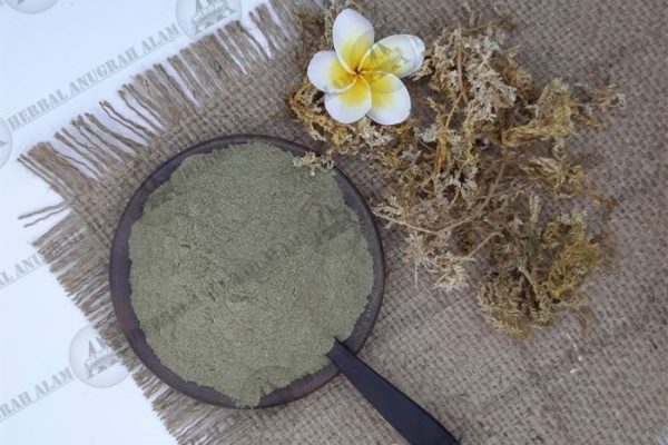 Daun penggemuk ayam di Galesong, Takalar