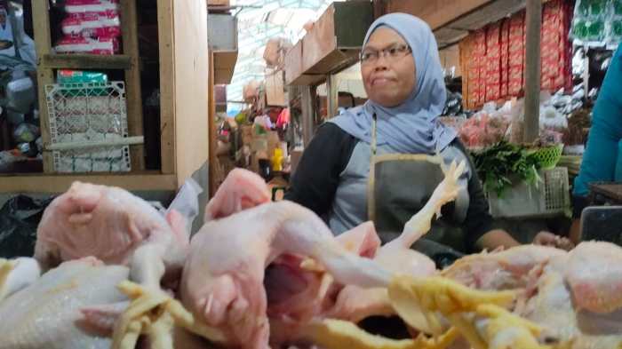 Budidaya ternak ayam di Larangan, Brebes