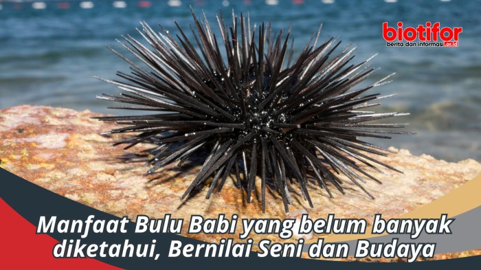 Bulu kelinci di Parigi, Muna