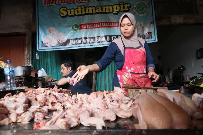 Ayam ternak di Purwokerto Selatan, Banyumas