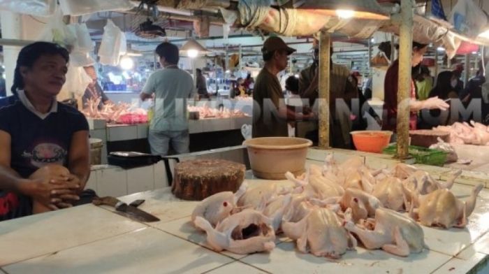 Harga ayam kampung potong di Ciomas, Bogor