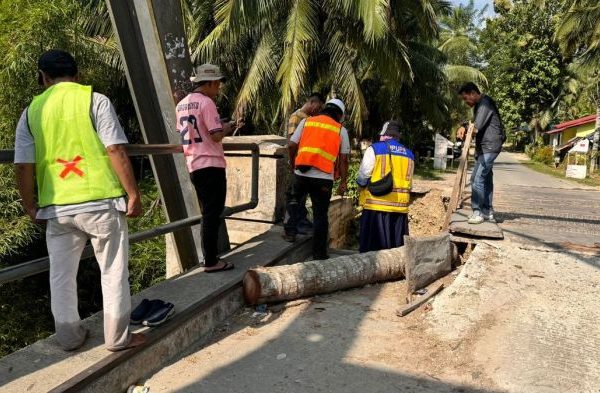 ayam-petelur-1 | Papua Kini