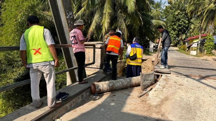 ayam-petelur-1 | Papua Kini ayam-petelur-1 | Papua Kini