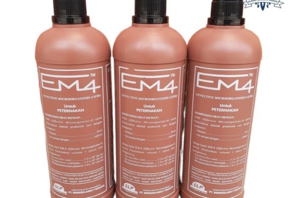 Em4 peternakan ayam di Sekupang, Kota Batam