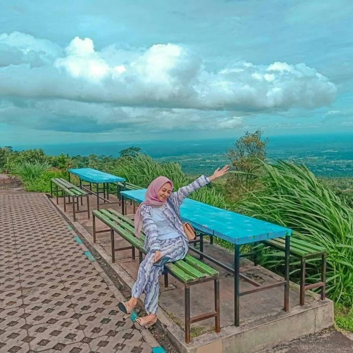 Daun penggemuk ayam di Sumur, Kab. Pandeglang