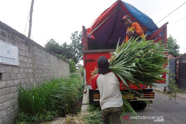 Daging kambing di Plosoklaten, Kediri