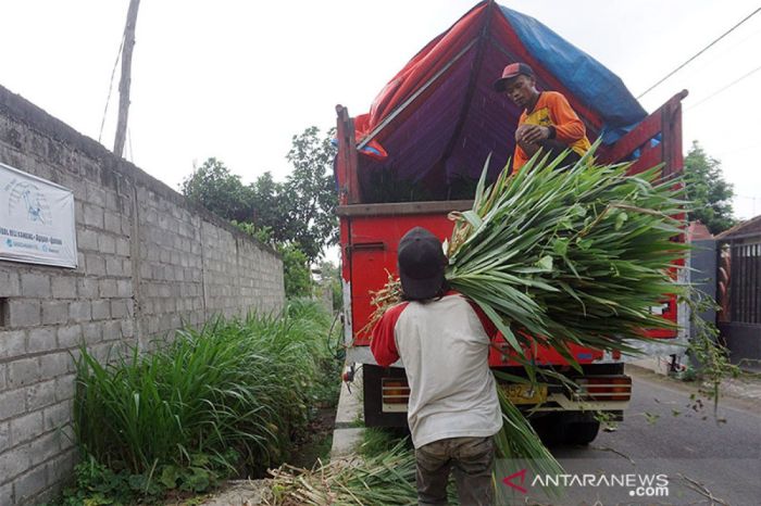 Daging kambing di Plosoklaten, Kediri