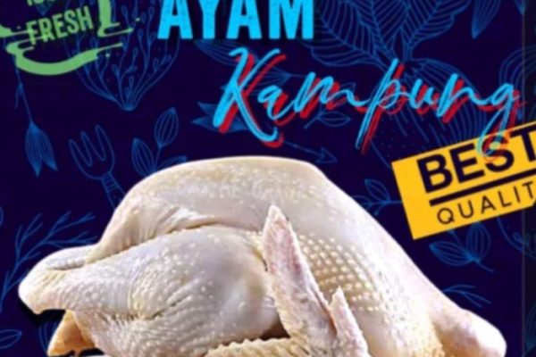 Jual ayam kampung potong segar bersih asli organik 1kg/ daging ayam ...
