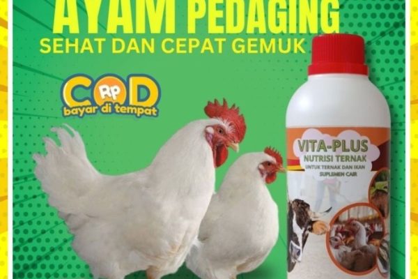 Daun penggemuk ayam di Pontianak Selatan, Kota Pontianak