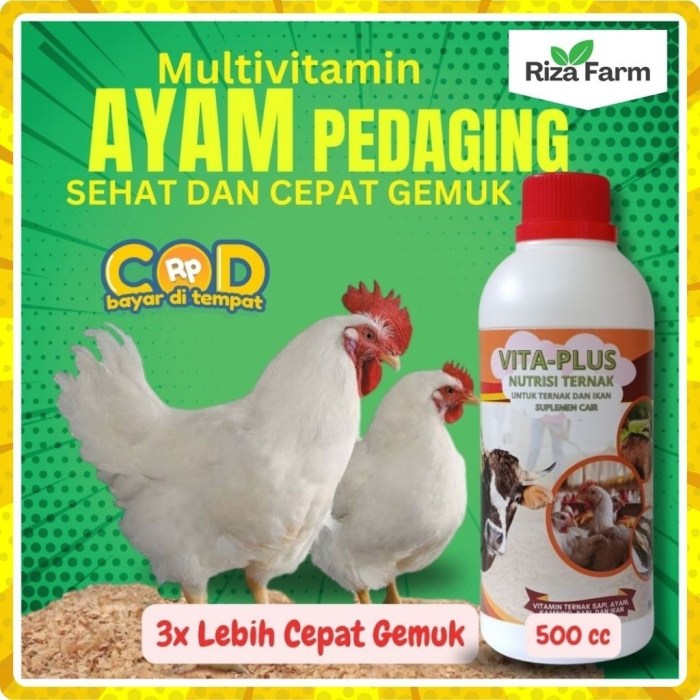 Daun penggemuk ayam di Pontianak Selatan, Kota Pontianak