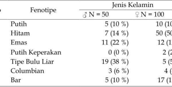 Peta Kabupaten Solok Selatan