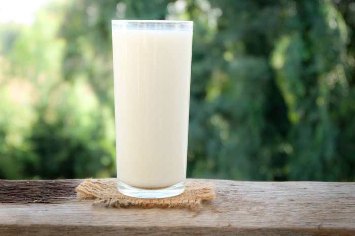 4 Manfaat Minum Susu Setiap Hari, Wanita Wajib Tahu Susu kambing di Leuwisadeng, Bogor