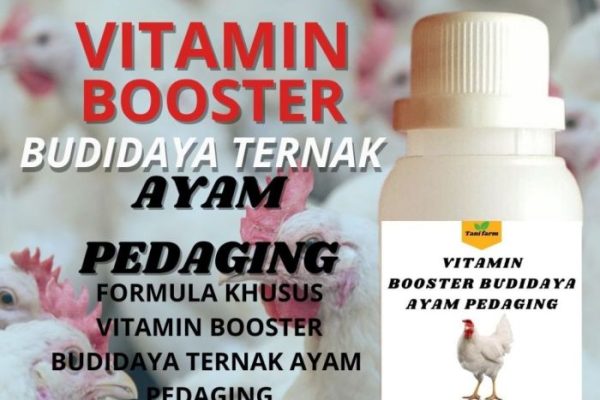 Daun penggemuk ayam di Okaba, Kab. Merauke